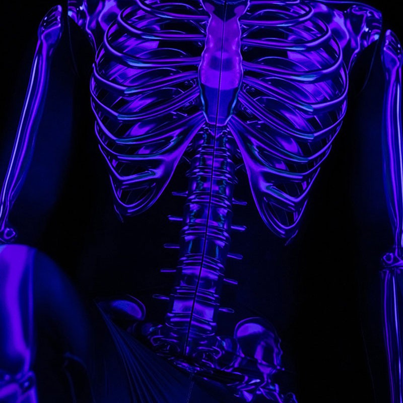 Purple Skeleton Costume Glow In Dark Halloween Costume Womens