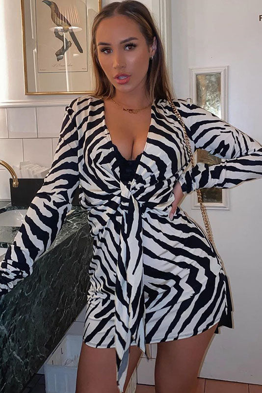 Zebra V-Neck Long Sleeve Mini Dress